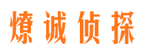 大关市侦探公司